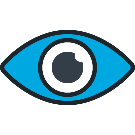 Vision